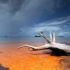 Suriname, Matu Island