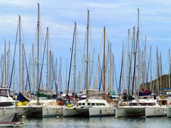 Surpopulation dans une des marinas de Nouméa