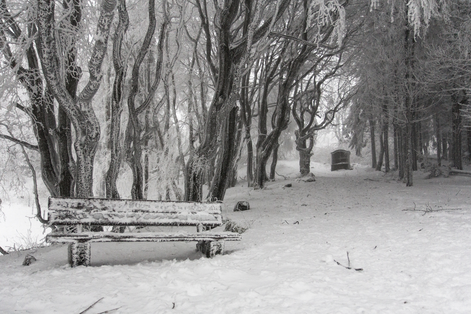 Surreal Winterwonderland - Kreuzberg