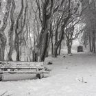 Surreal Winterwonderland - Kreuzberg