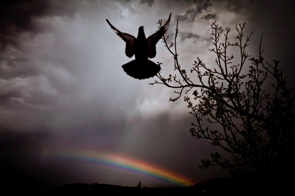 ..surreale momento....