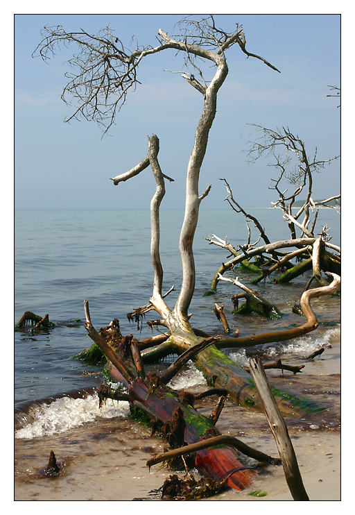 Surreales auf Bornholm (DK) ...