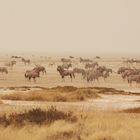 Surreales Licht im Etosha NP