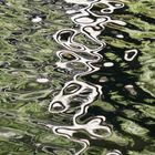 surrealistische Wasserschlange
