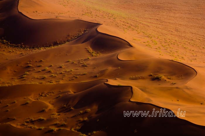 Survol des dunes de Namibie