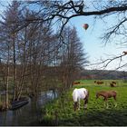 Survol d’un paysage bucolique en montgolfière