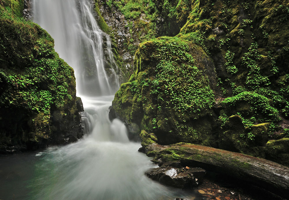 Susan Creek Falls I