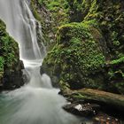 Susan Creek Falls I