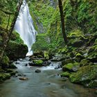 Susan Creek Falls II