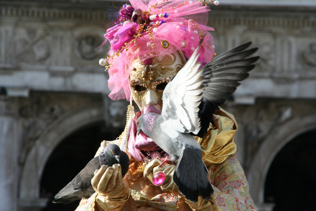 Susi avec les célèbres pigeons de la Place St marc à Venise