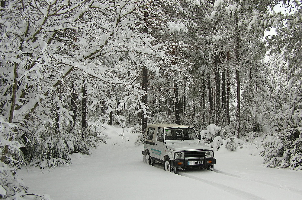 Susi im Winterschlaf