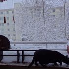 Susi und Muffin bei der Schneekontrolle