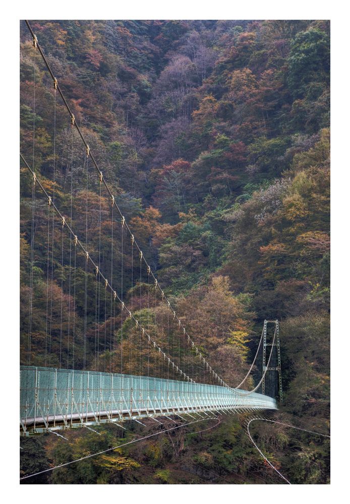 Suspension bridge