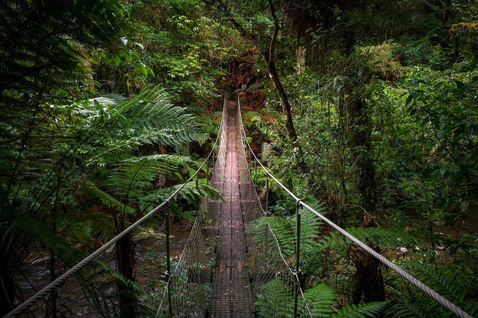 Suspension bridge, Forgotten World Highway (New Zealand)