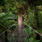 Suspension bridge, Forgotten World Highway (New Zealand)