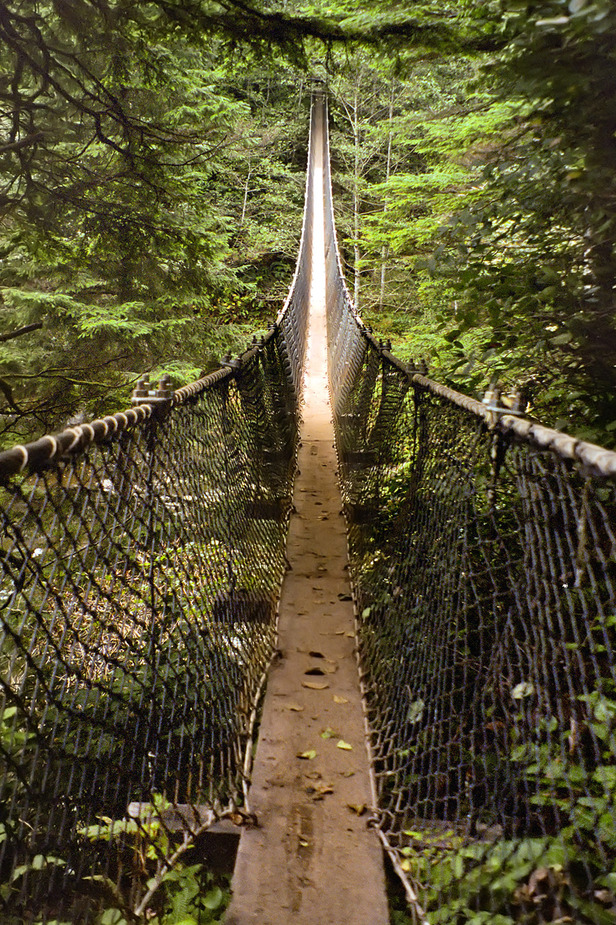 Suspension Bridge West Coast Trail Vancouver Island Kanada Foto