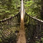 Suspension Bridge - West Coast Trail - Vancouver Island - Kanada