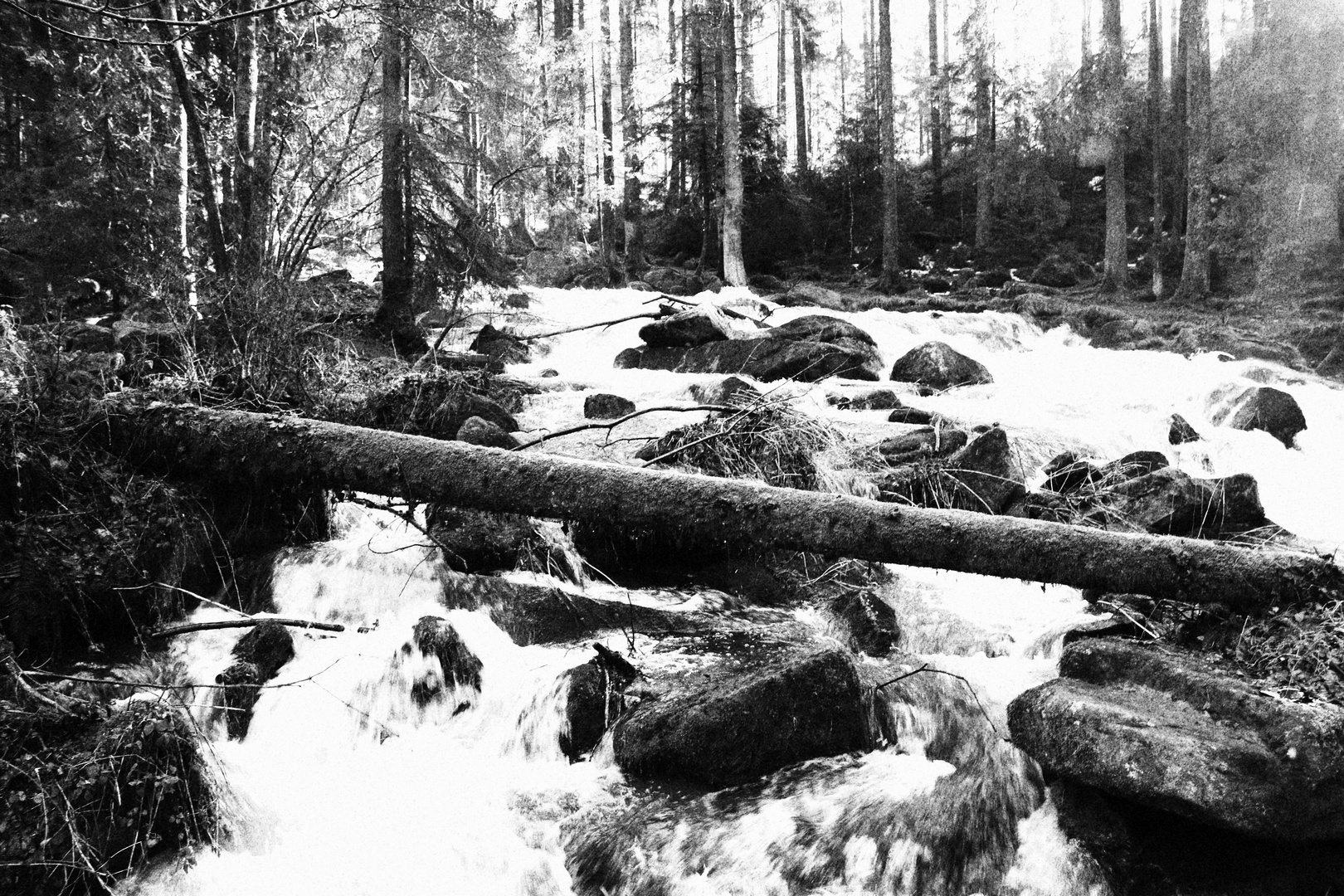 Sußbachklamm 2