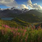 Sustenpass