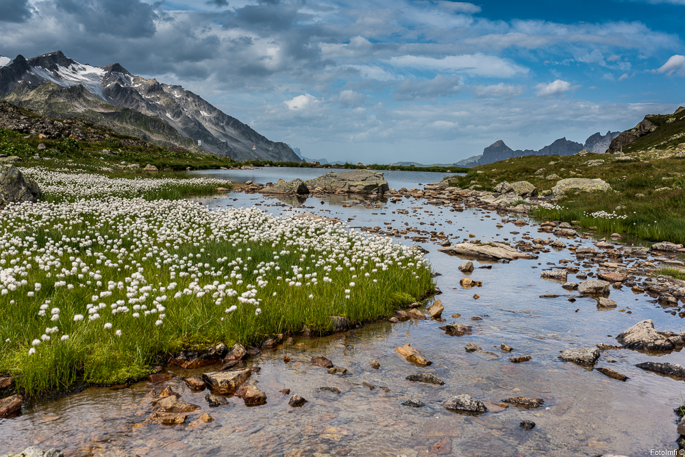 Sustenpass,Gadmertal,BE-0045