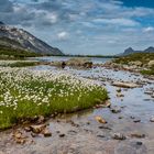 Sustenpass,Gadmertal,BE-0045