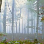 Susurros de la naturaleza en calma  