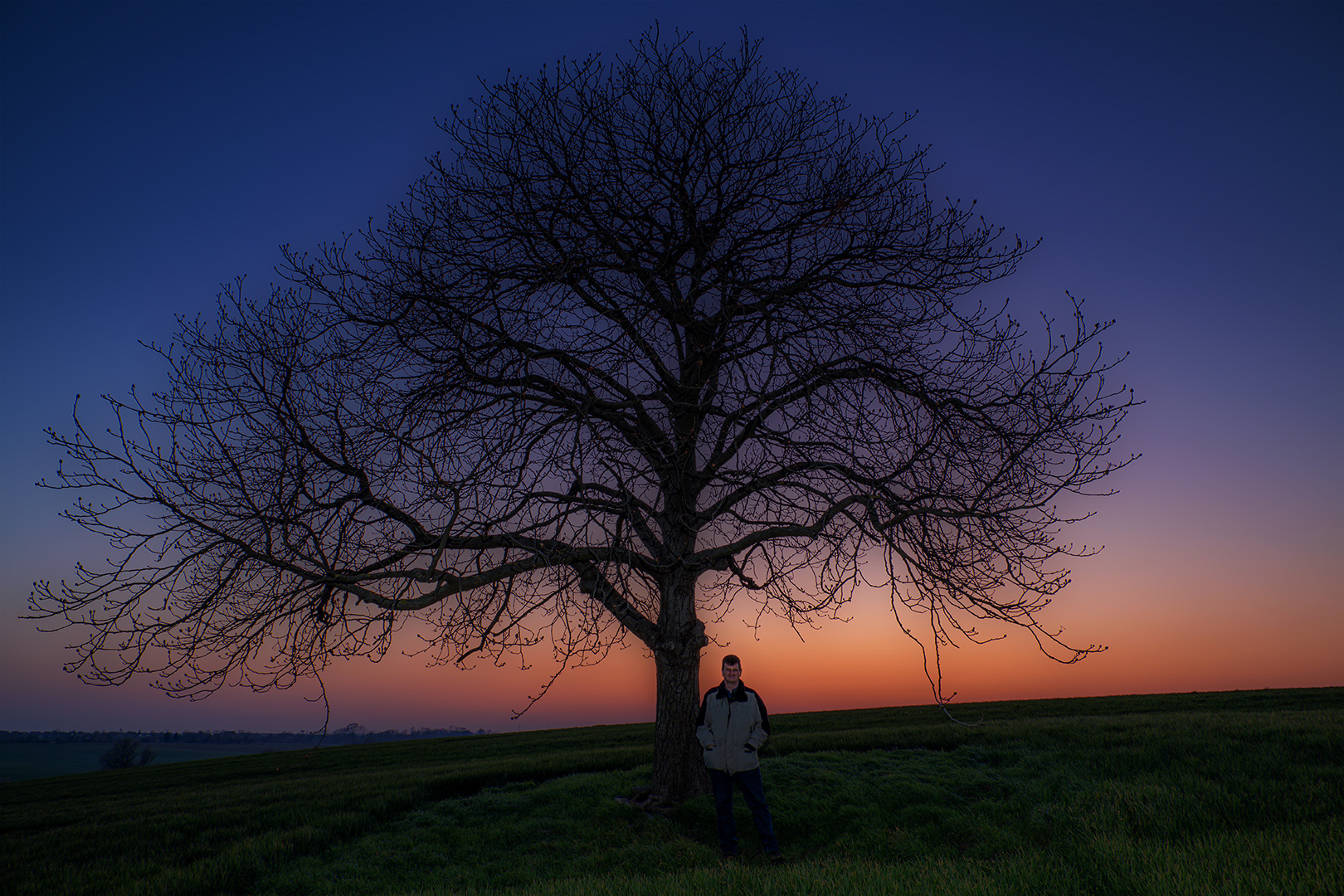 SUT am Baum...