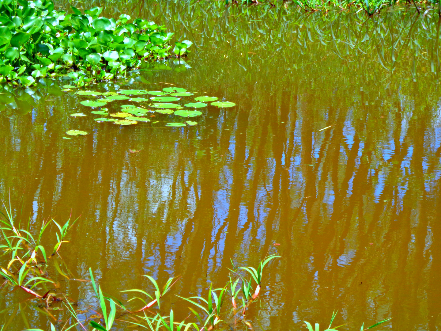 Sutilezas en el agua