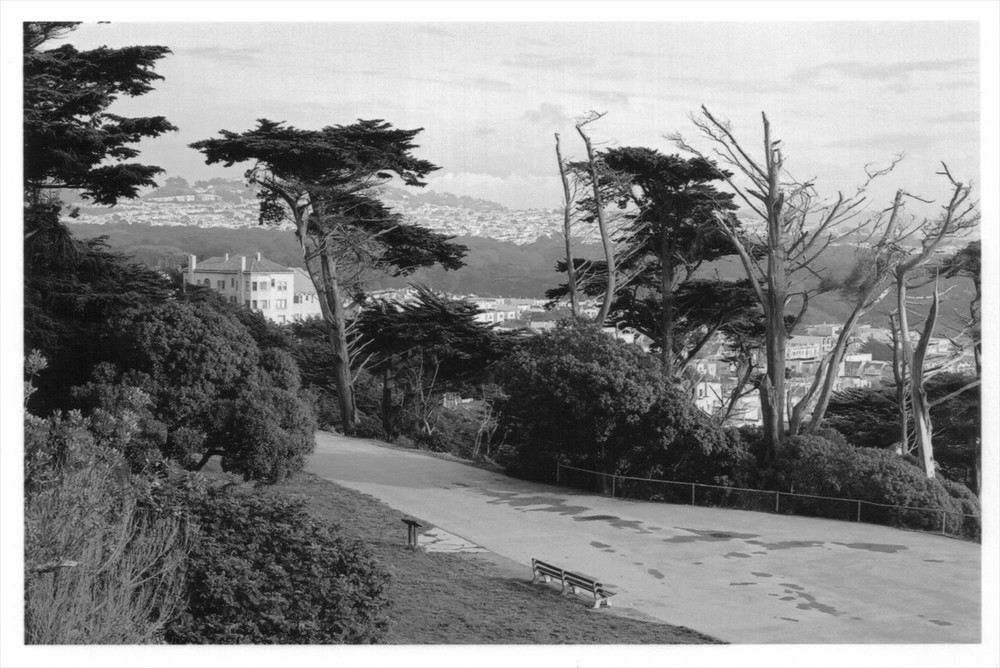 Sutro Heights Park