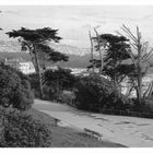 Sutro Heights Park