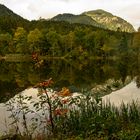 Suttensee mit Wallberg 