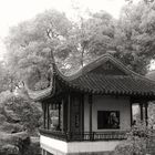 Suzhou Garden 1