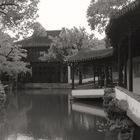 Suzhou Garden 4