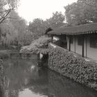 Suzhou Garden 6