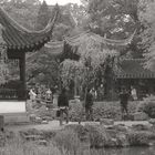 Suzhou Garden 7