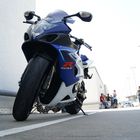 Suzie GSX R