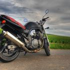 Suzuki Banidit 600 N