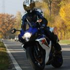 Suzuki GSX R 600