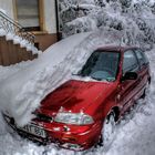 Suzuki im Winter