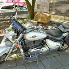 SUZUKI Intruder