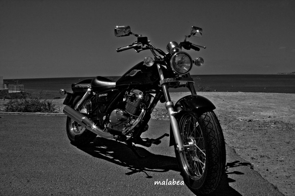 Suzuki Marauder b&n