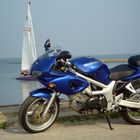 suzuki sv650s