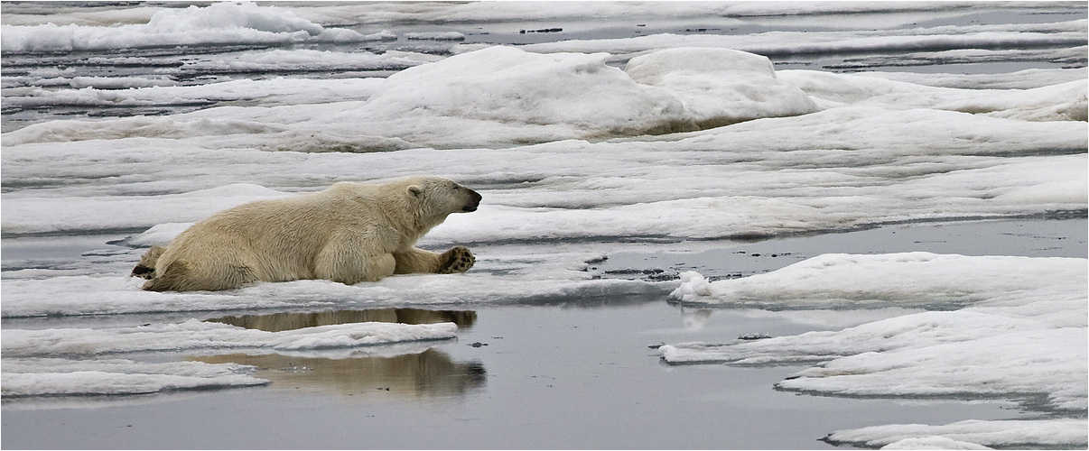 SVALBARD (17)