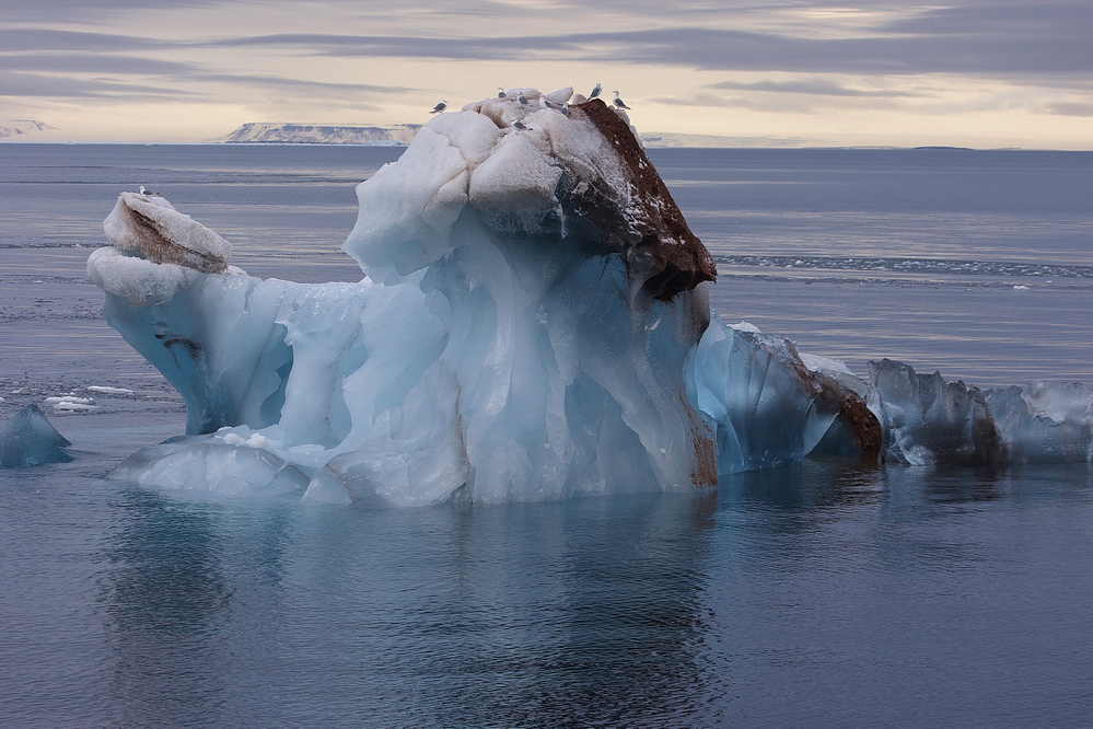 Svalbard #2