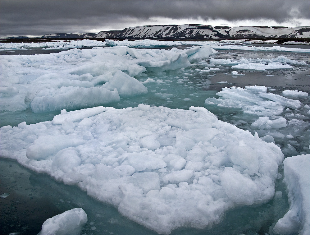 SVALBARD 2008 (23)