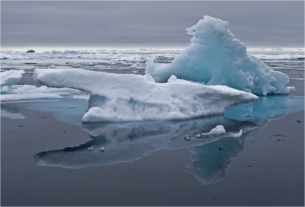 SVALBARD 2008 (26)