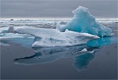 SVALBARD 2008 (26)