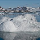 SVALBARD 2008 (31)