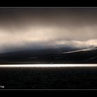 Svalbard #29