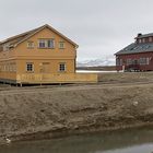 SVALBARD (43)